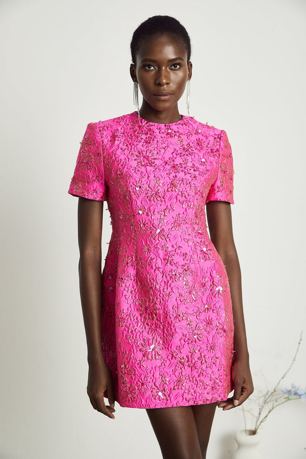 Celestia Floral-Appliqué Embellished Mini Dress in Pink