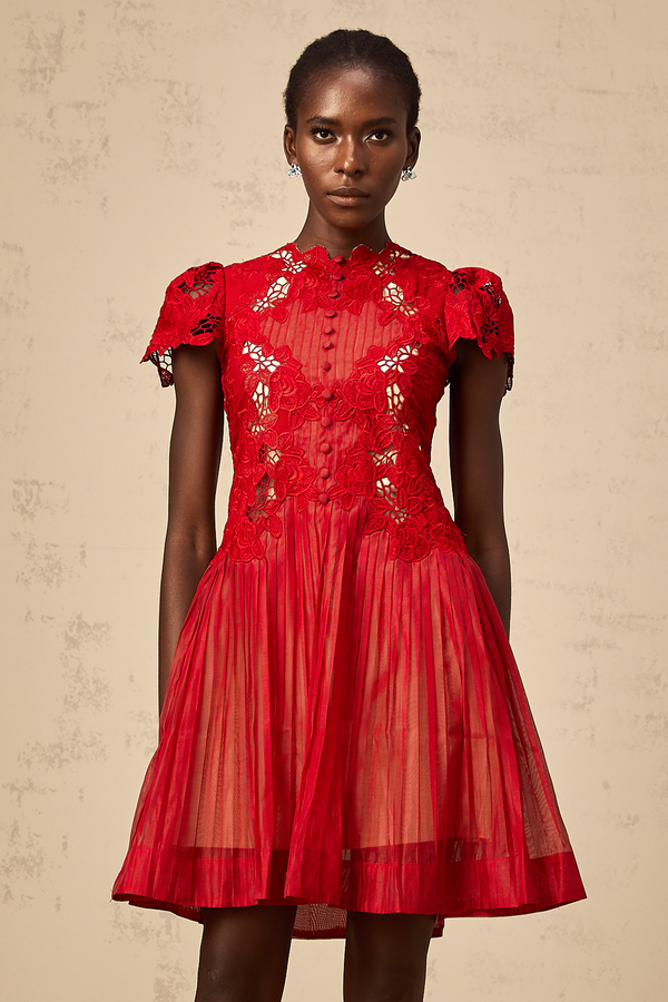 Corinne red flower-embroidered pleated mini dress