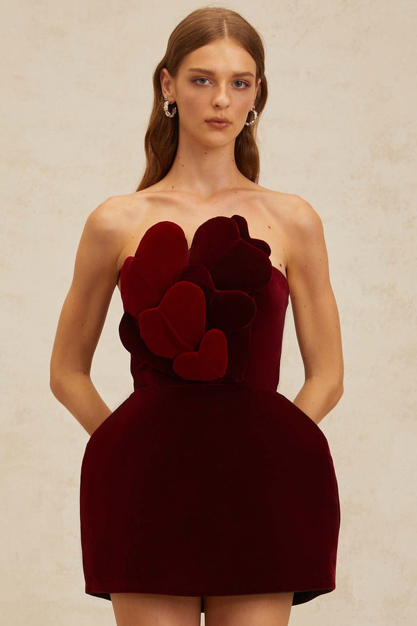 Coralie Red Heart Appliqué Velvet Mini Dress
