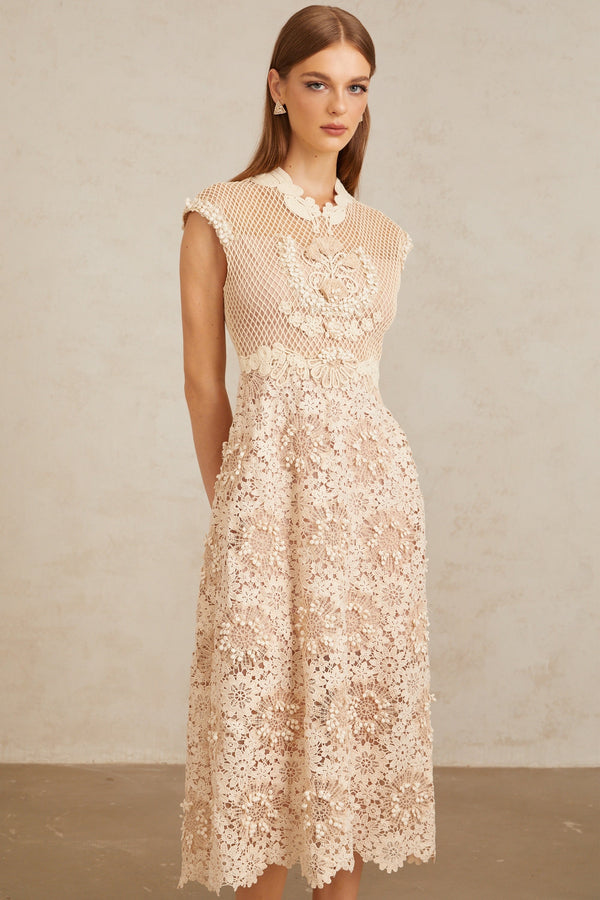 Capucine Braid Detail Corded Lace Midi Dress