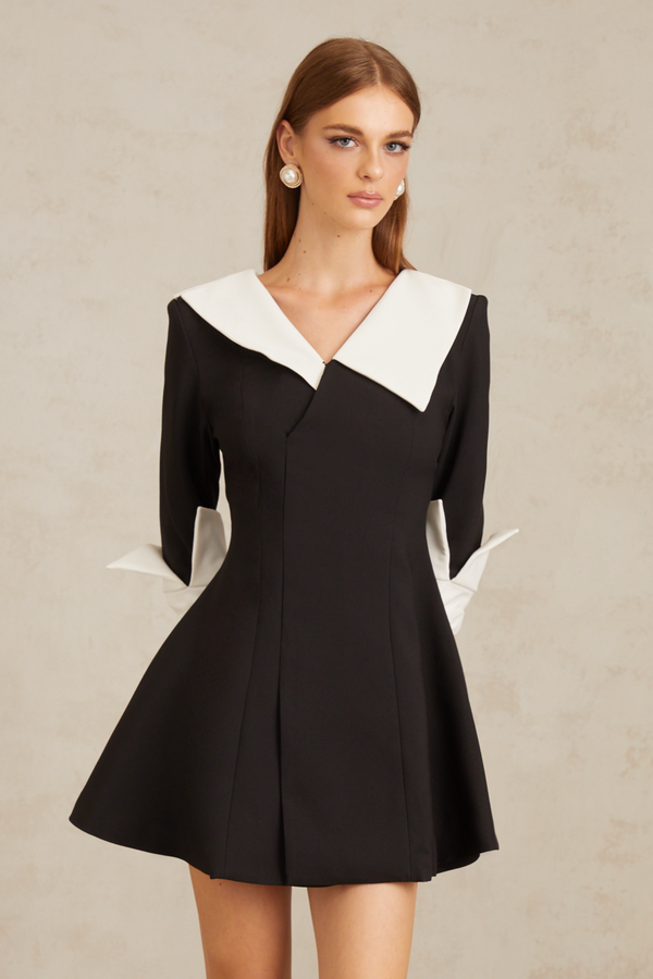 Carine Color Block Flared Mini Dress