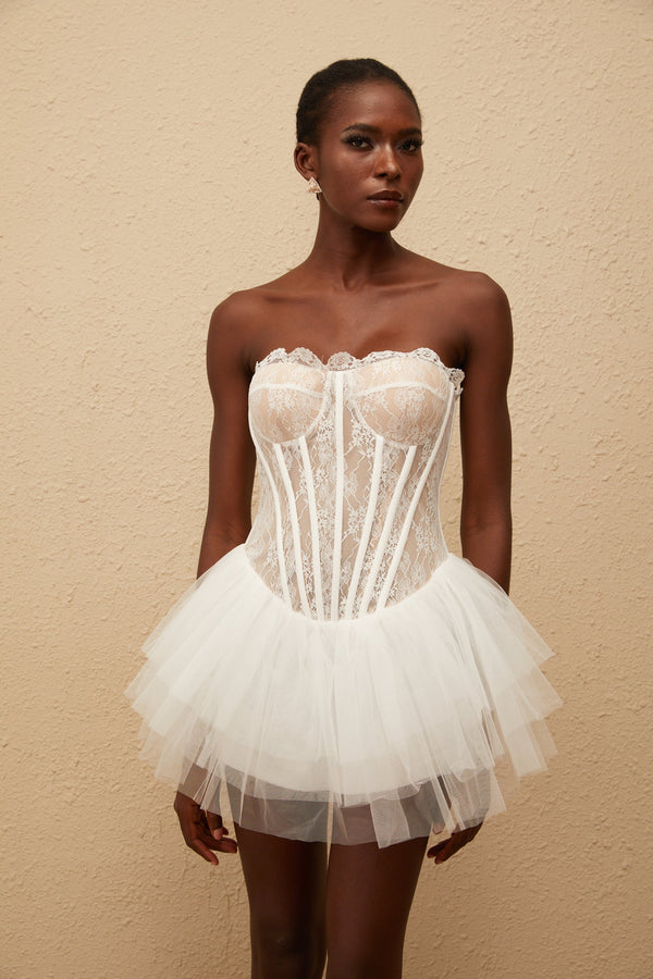Dagmar White Tulle Panel Lace Mini Dress