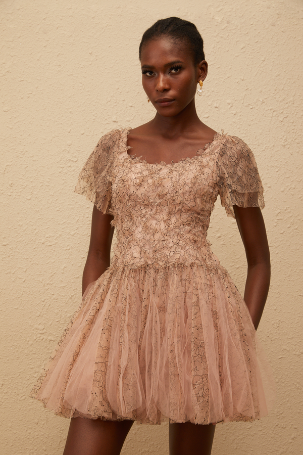Gaëtane Brown Tulle Panel Lace Mini Dress