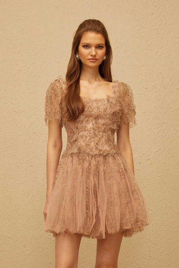 Gaëtane Brown Tulle Panel Lace Mini Dress