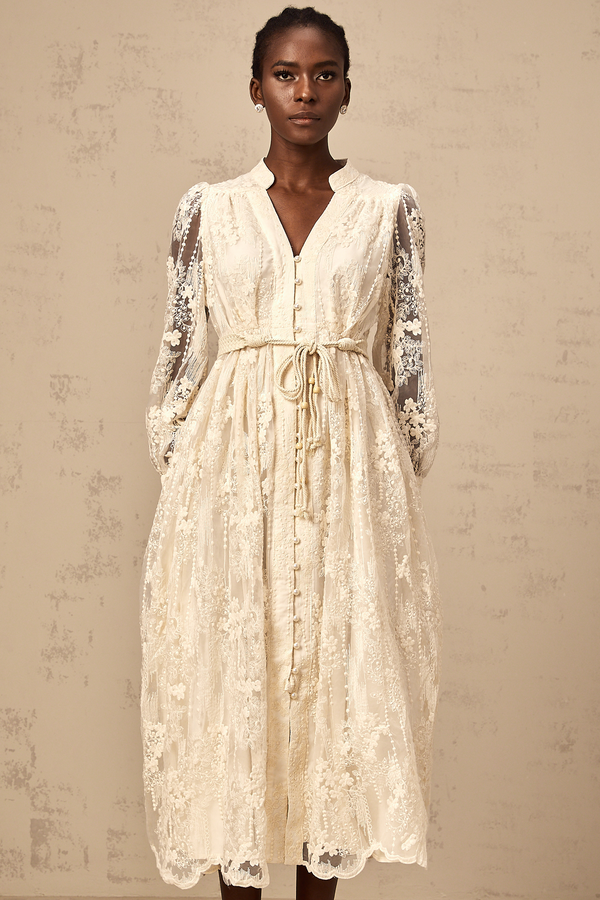 Roxane neutrals lace-embroidered midi dress