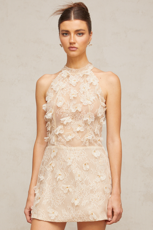 Léa neutrals flower-appliqué lace mini dress (US Only)